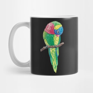 Lorikeet Mug